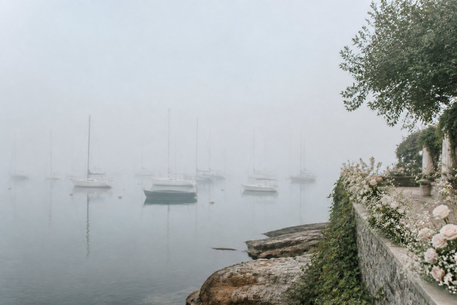 Foggy Harbor