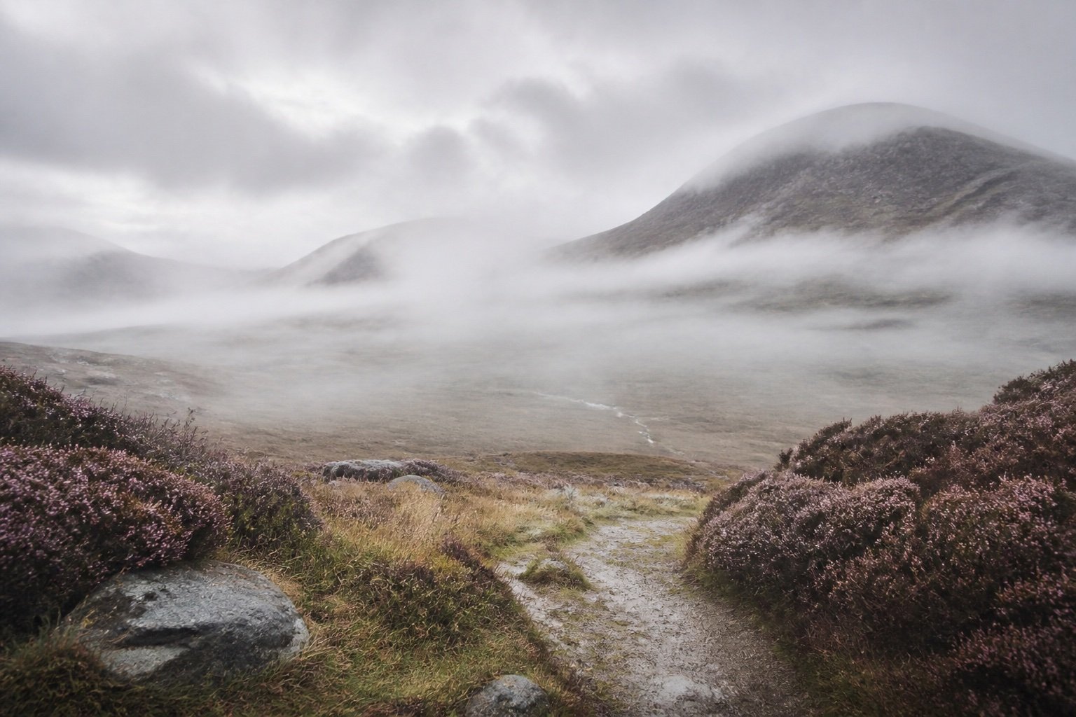 Misty Highlands